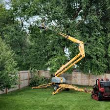 Best Lawn Disease Treatment  in Snellville, GA