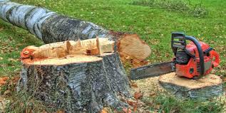 Best Tree Disease Treatment  in Snellville, GA