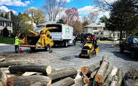 Best Tree and Shrub Care  in Snellville, GA