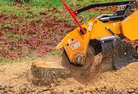Best Leaf Removal  in Snellville, GA