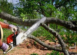 Best Tree Mulching  in Snellville, GA