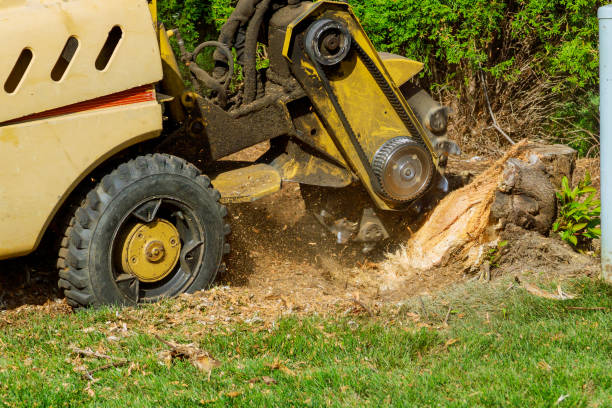 Best Lawn Pest Prevention  in Snellville, GA