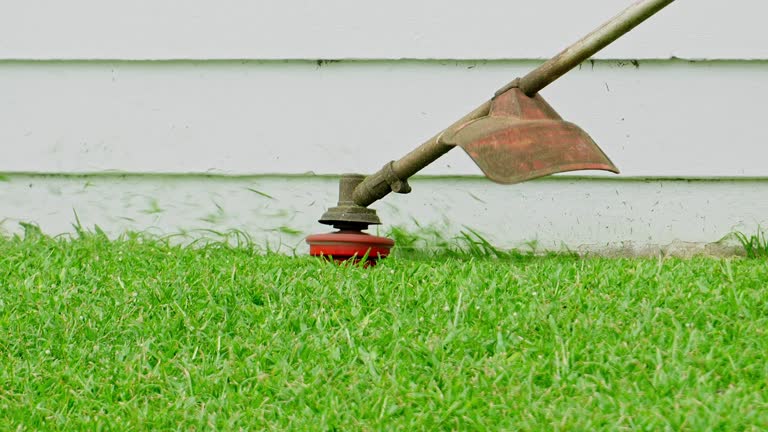 Best Weed Control  in Snellville, GA