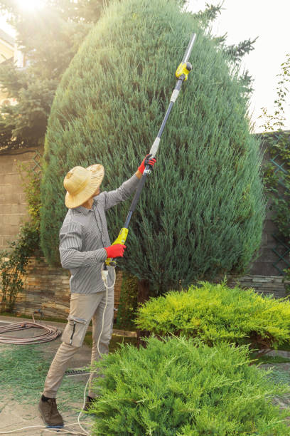 Best Hazardous Tree Removal  in Snellville, GA